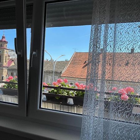 Sunny Apartment Vrsac Ngoại thất bức ảnh