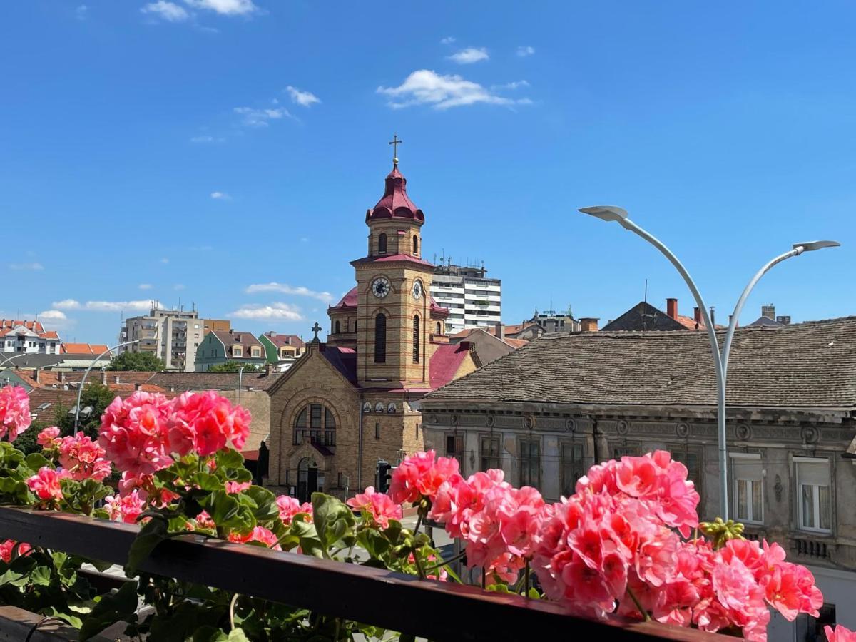 Sunny Apartment Vrsac Ngoại thất bức ảnh