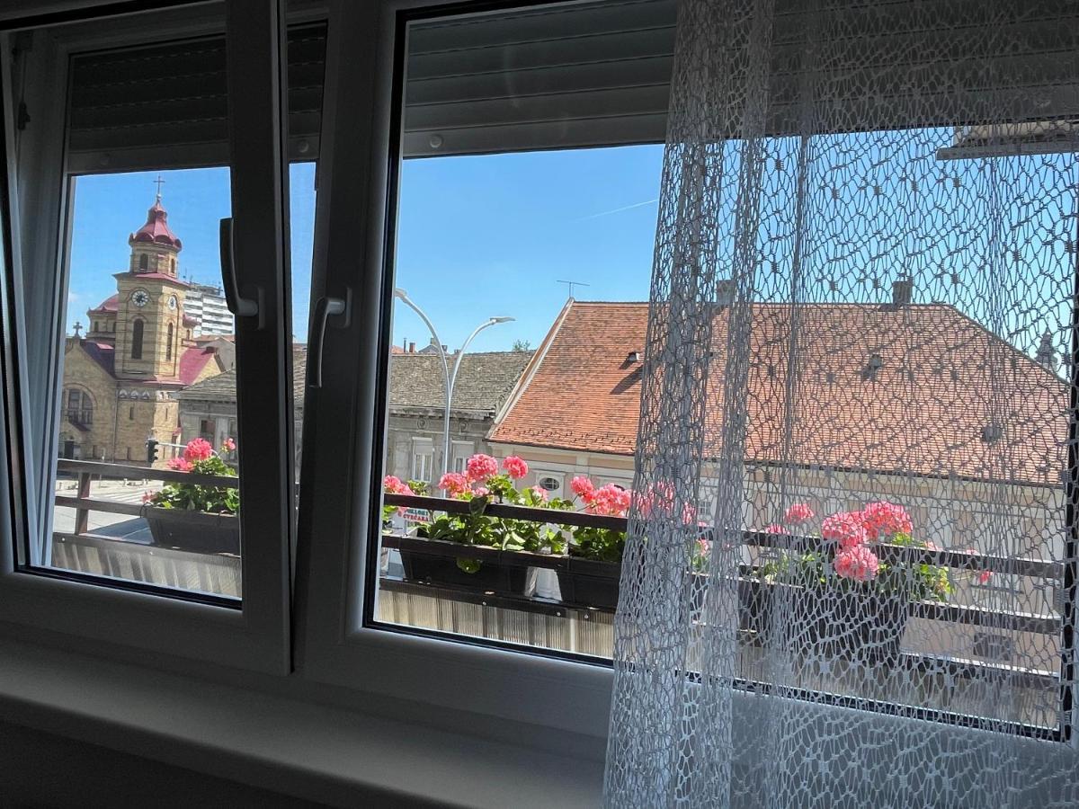 Sunny Apartment Vrsac Ngoại thất bức ảnh