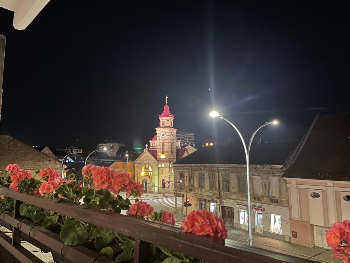 Sunny Apartment Vrsac Ngoại thất bức ảnh